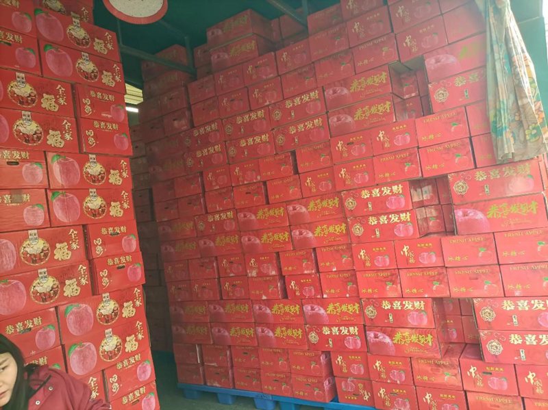 贸易代理公司: 打造国际贸易桥梁